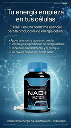 Suplemento NAD+ Resveratrol. Capsulas