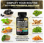 Suplemento Natural Energizante Shilajit. Cápsulas